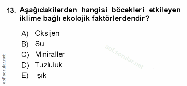 Soru 13