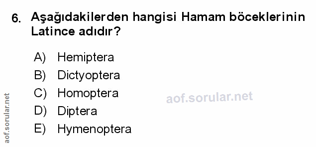 Soru 6