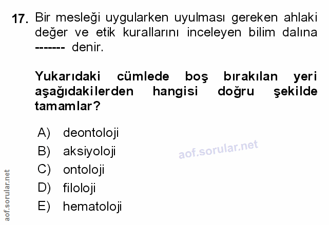Soru 17
