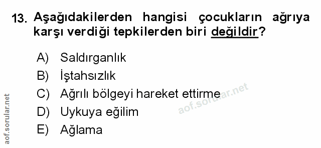 Soru 13