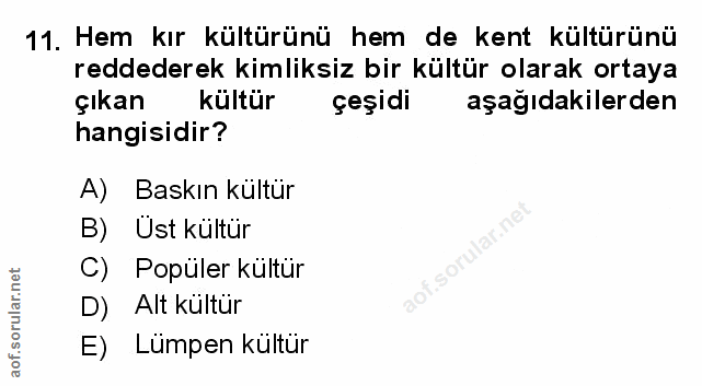 Soru 11