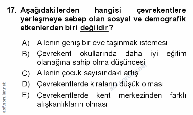 Soru 17