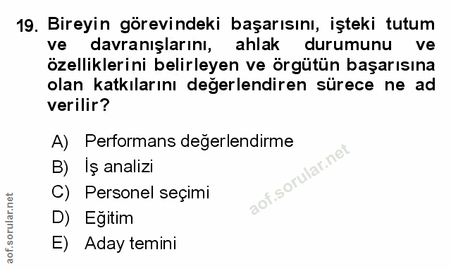 Soru 19