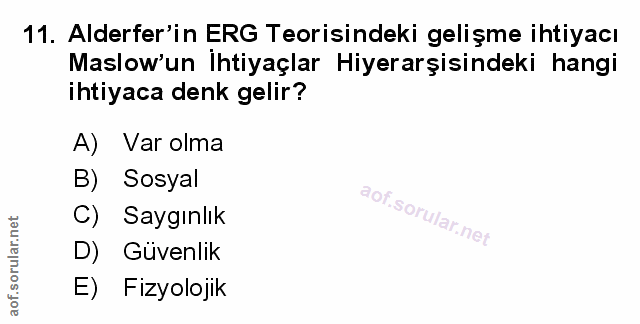 Soru 11