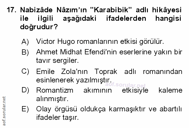 Soru 17