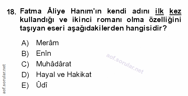 Soru 18