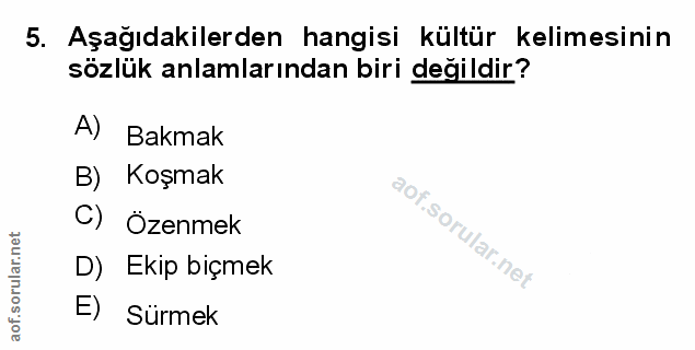 Soru 5