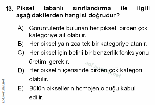Soru 13