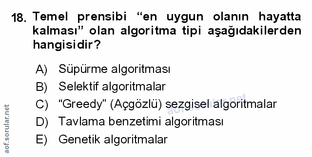 Soru 18