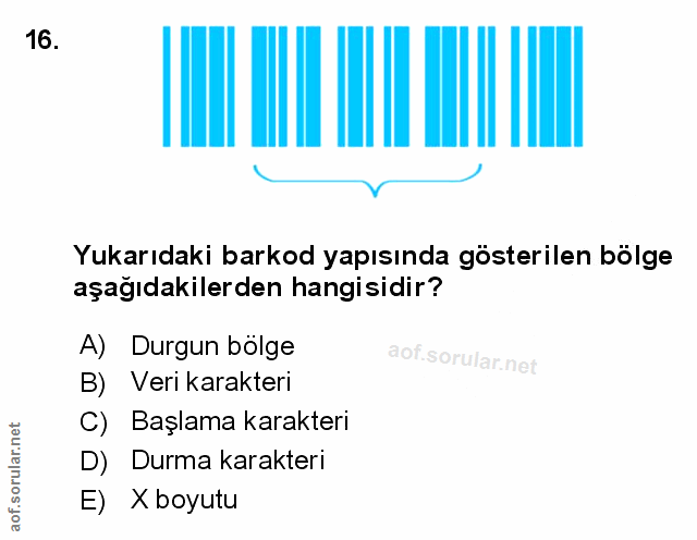 Soru 16