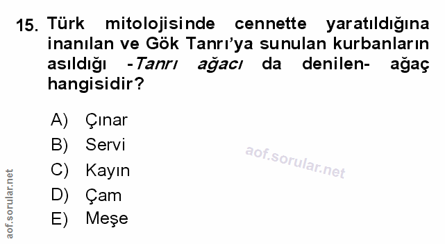 Soru 15