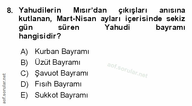 Soru 8