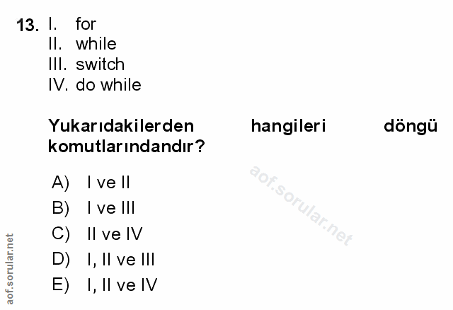 Soru 13