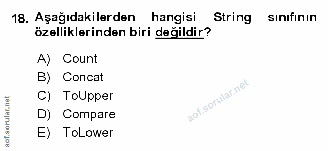 Soru 18