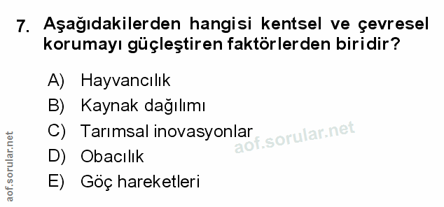 Soru 7