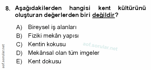 Soru 8