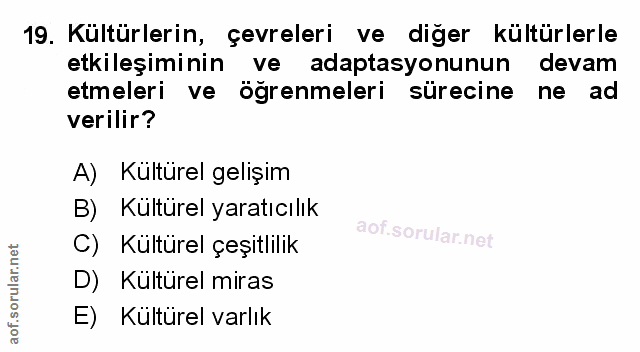 Soru 19