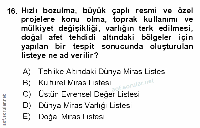 Soru 16