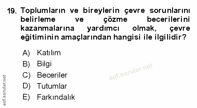 Soru 19