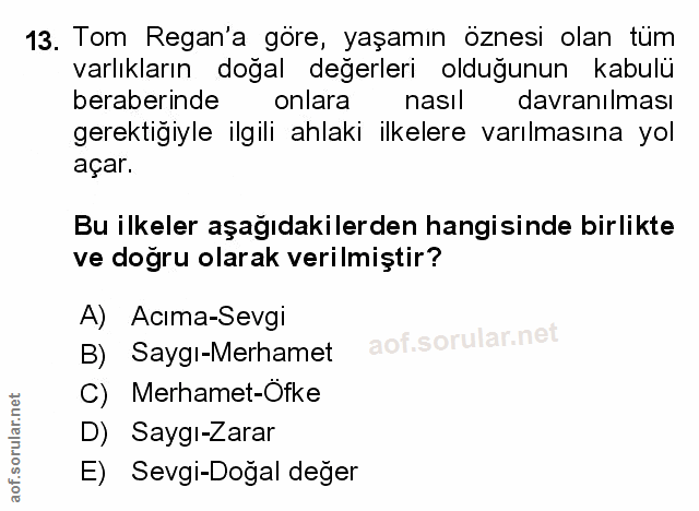 Soru 13