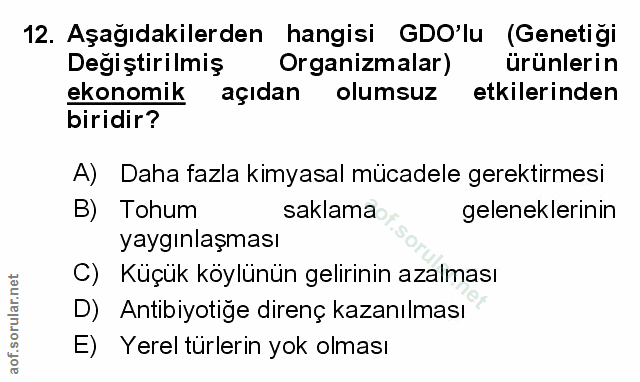 Soru 12