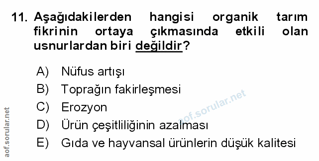 Soru 11