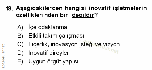 Soru 18