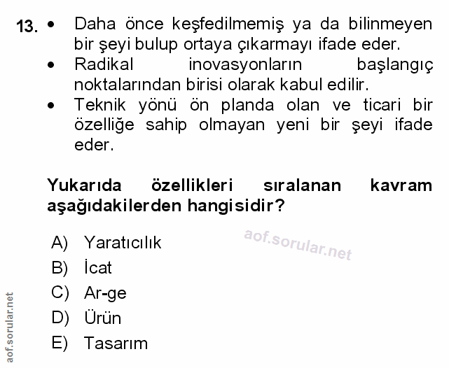 Soru 13