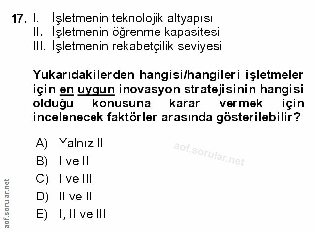 Soru 17