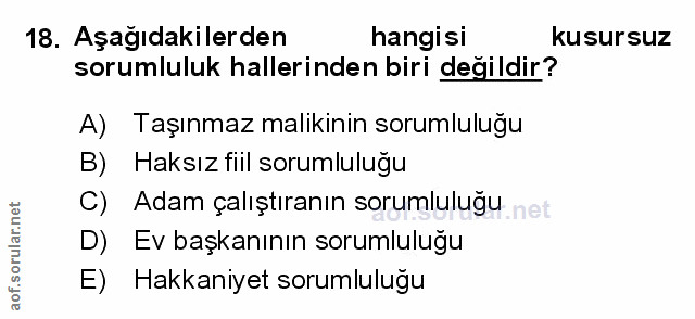 Soru 18