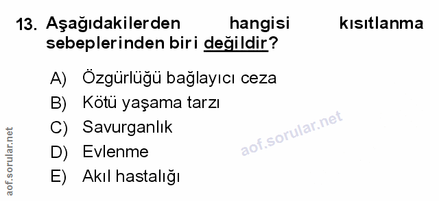 Soru 13
