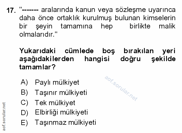 Soru 17