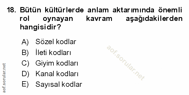 Soru 18