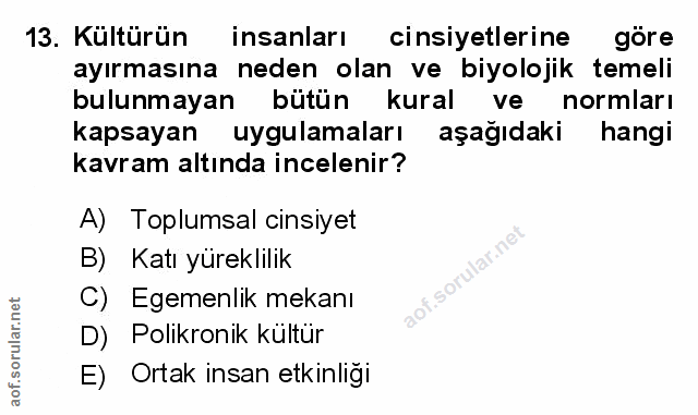 Soru 13