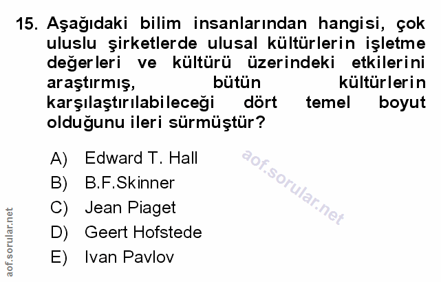 Soru 15