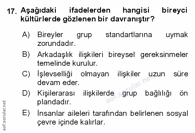 Soru 17