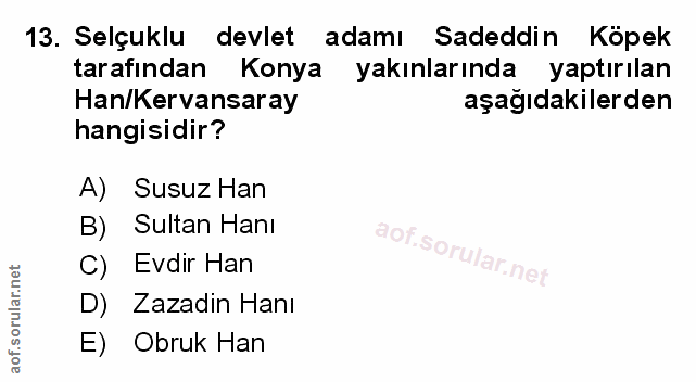 Soru 13