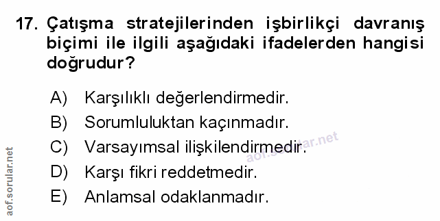 Soru 17