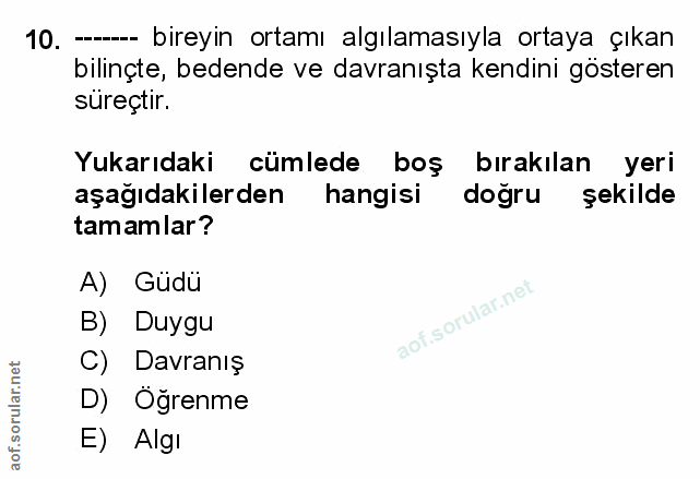 Soru 10
