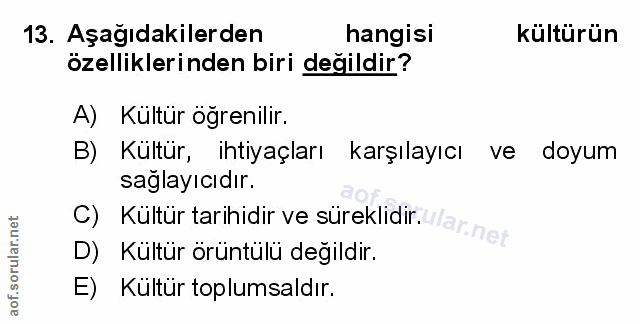 Soru 13