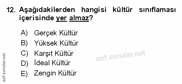 Soru 12