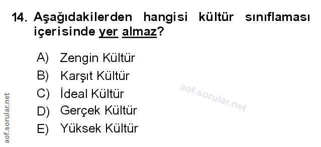 Soru 14