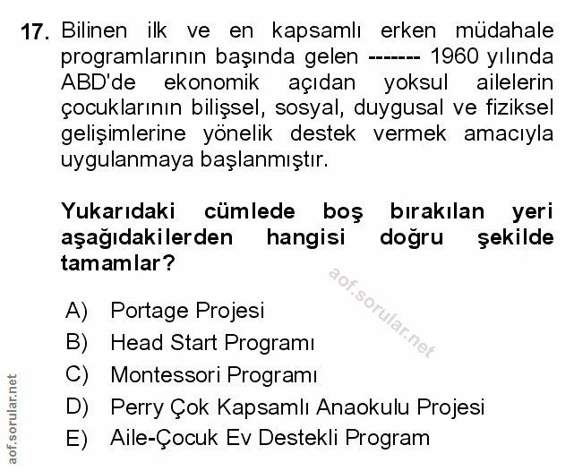 Soru 17