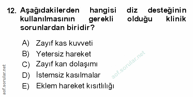 Soru 12