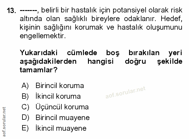 Soru 13
