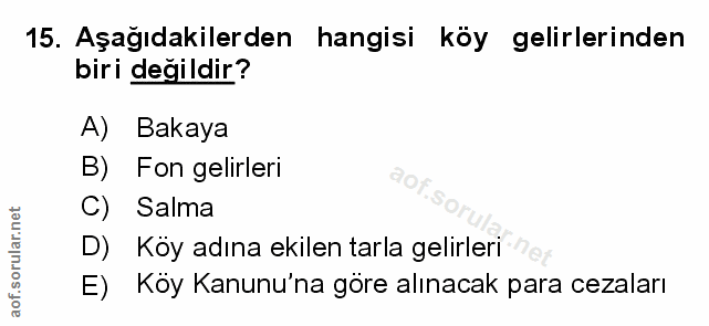 Soru 15
