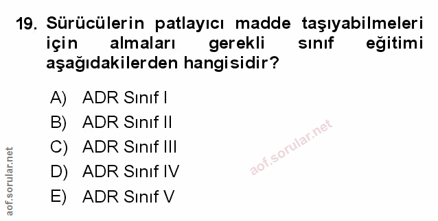 Soru 19