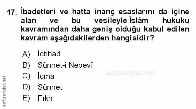 Soru 17