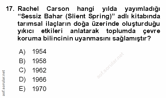 Soru 17