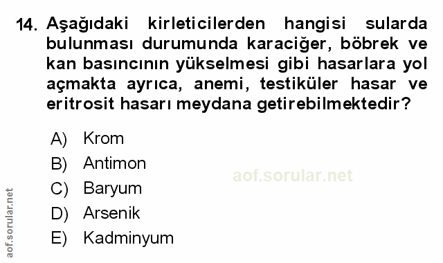 Soru 14
